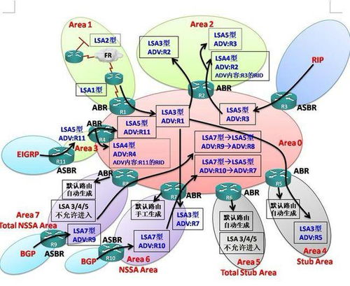 网络工程师面试宝典 路由交换·降龙十八掌内功心法（中集）